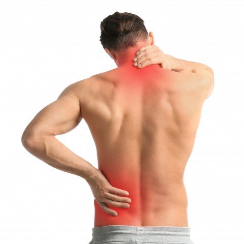 Pain and Rehab