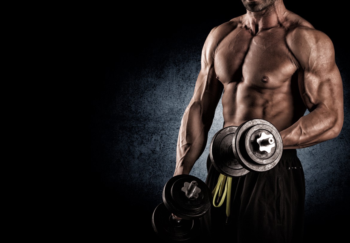 Muscle Building
