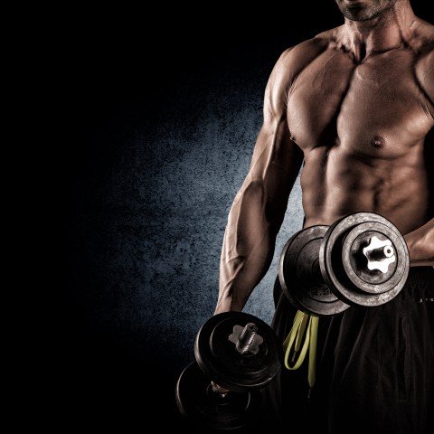 Muscle Building